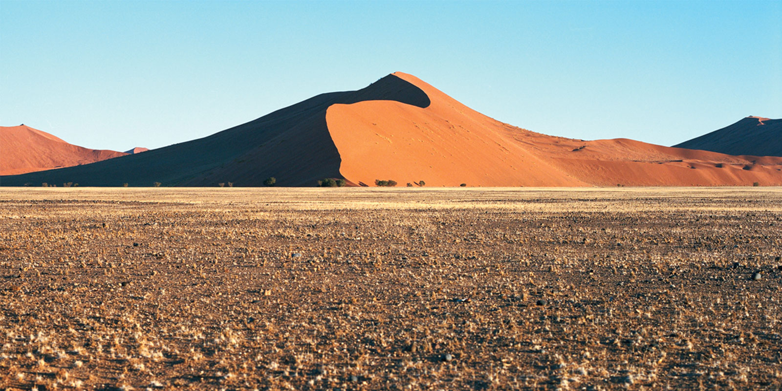 A sand dune in Namibia.